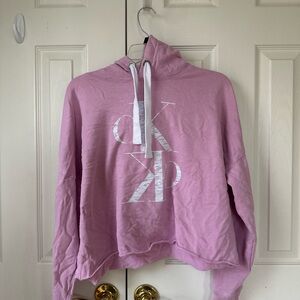 Calvin Klein Jeans Mauve Hoodie